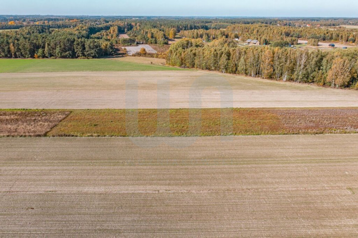 Działka Sprzedaż Krajęczyn 4