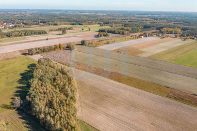 Działka Sprzedaż Krajęczyn