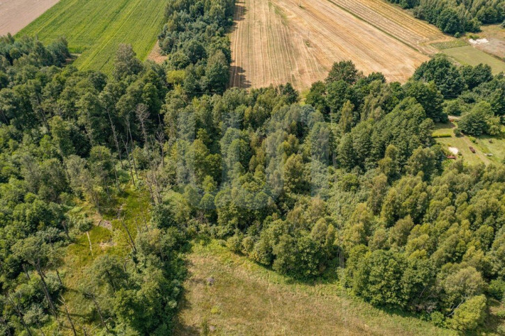 Działka Sprzedaż Rowy 7