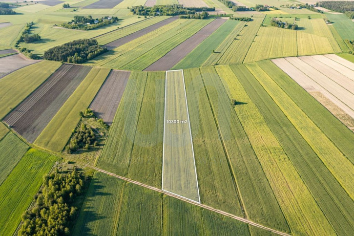 Działka Sprzedaż Błogosławie 1