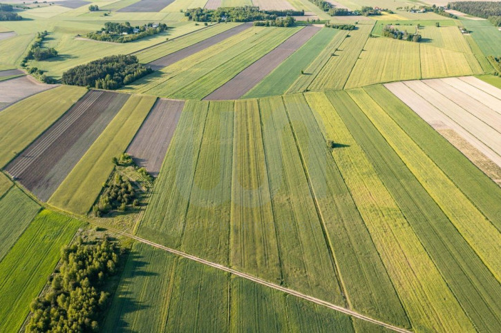 Działka Sprzedaż Błogosławie 2