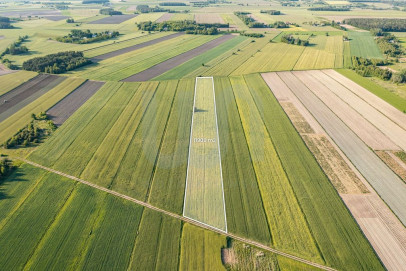 Działka Sprzedaż Błogosławie