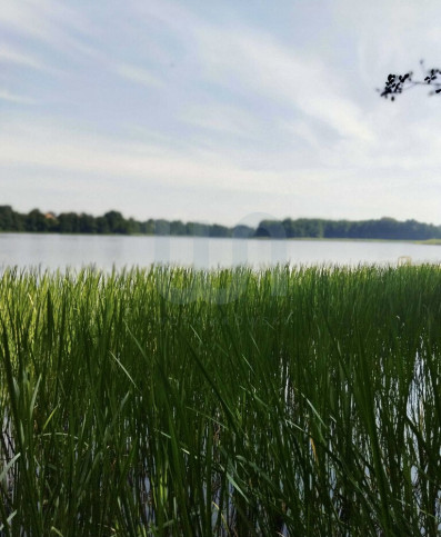 Działka Sprzedaż Dobki 20