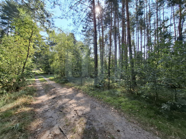 Działka Sprzedaż Wysoka Lelowska 5