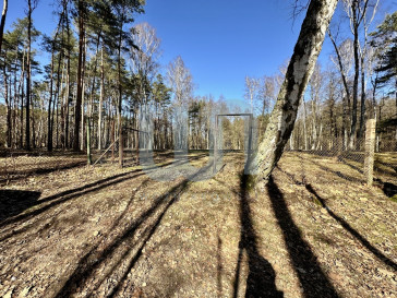 Działka Sprzedaż Cyprianów Leśna