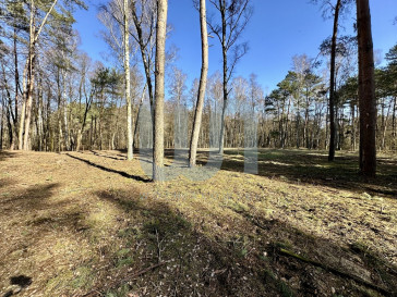 Działka Sprzedaż Cyprianów Leśna