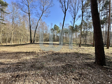 Działka Sprzedaż Cyprianów Leśna