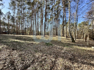 Działka Sprzedaż Cyprianów Leśna