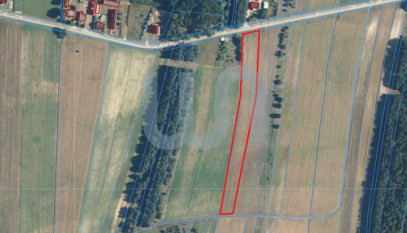 Działka Sprzedaż Władysławów Turystyczna
