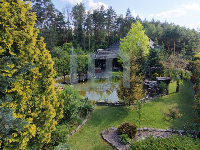 Dom Sprzedaż Pietraszów Kopina 23